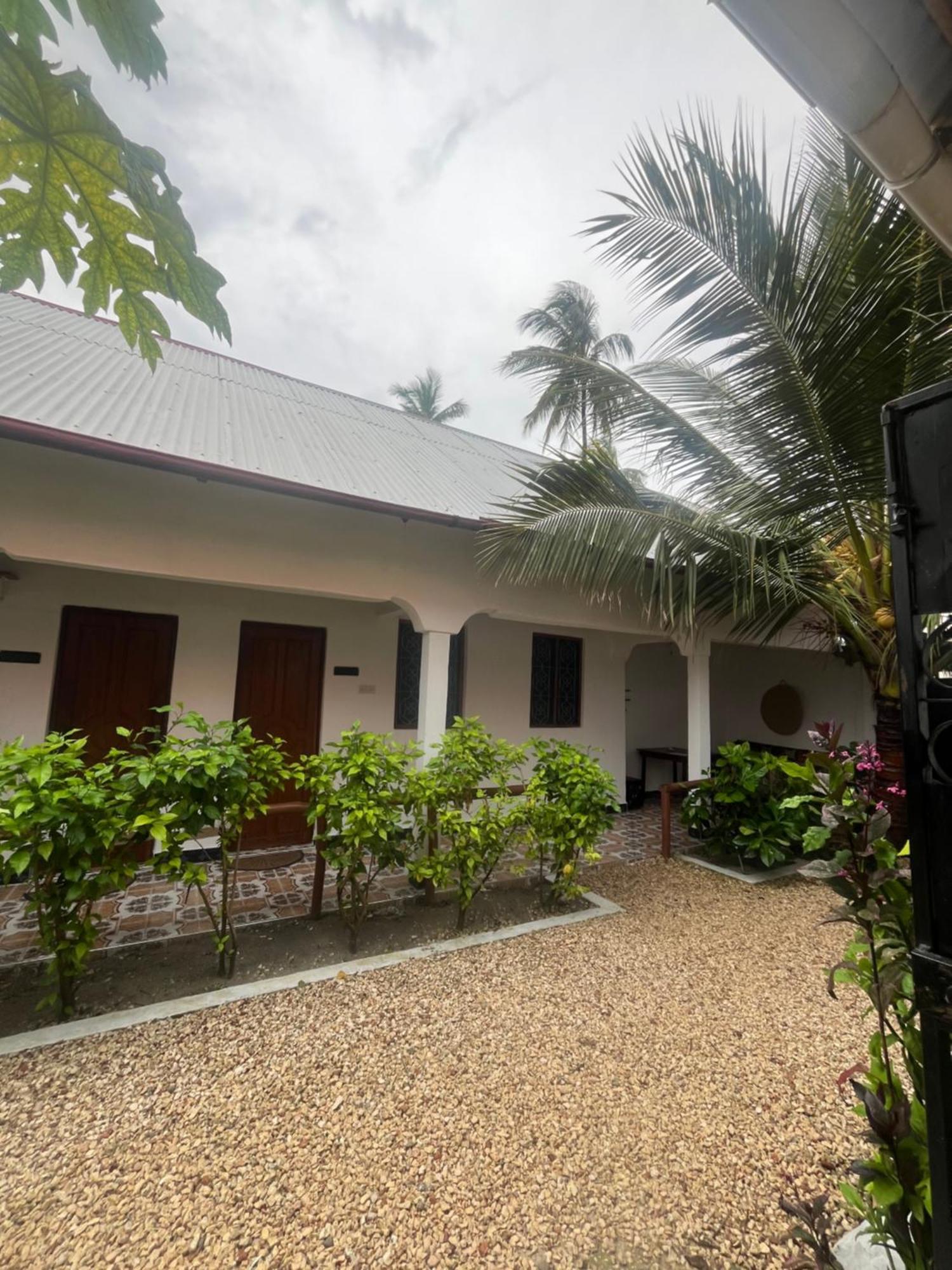 Fish House Nungwi Bed & Breakfast Exterior photo
